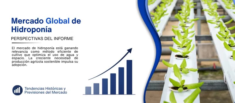 informe del Mercado de hidroponia