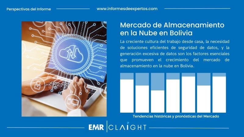 Informe del Mercado de Almacenamiento en la Nube en Bolivia