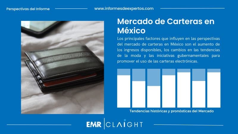 Informe del Mercado de Carteras en México