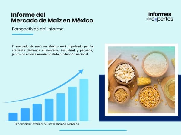 informe del mercado de maiz en mexico