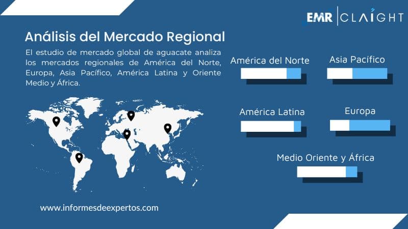 Mercado de Aguacate Region
