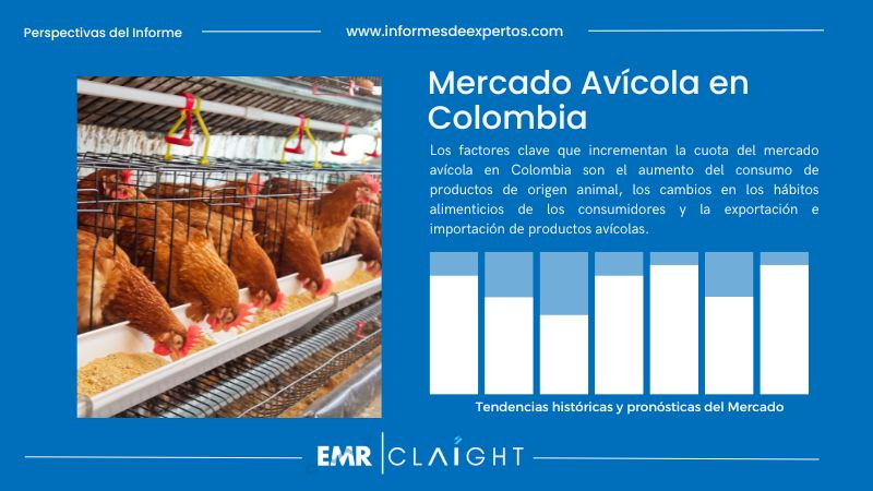 Informe del Mercado Avícola en Colombia