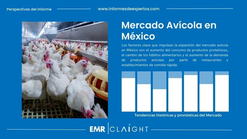 Informe del Mercado Avícola en México