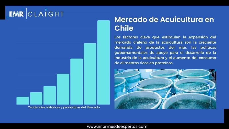 Informe del Mercado de Acuicultura en Chile