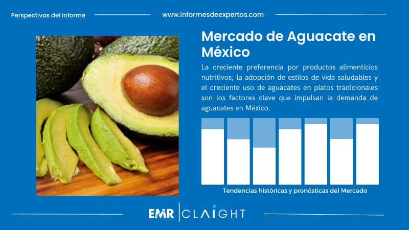 Informe del Mercado de Aguacate en México