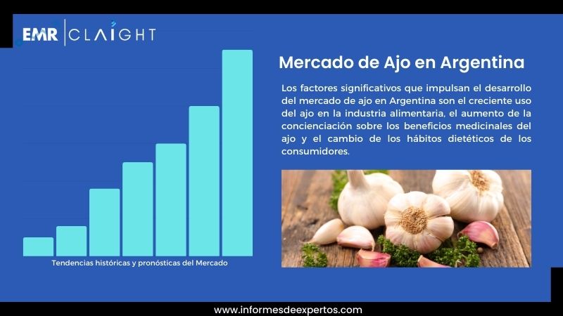 Informe del Mercado de Ajo en Argentina