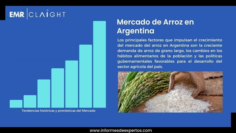 Informe del Mercado de Arroz en Argentina