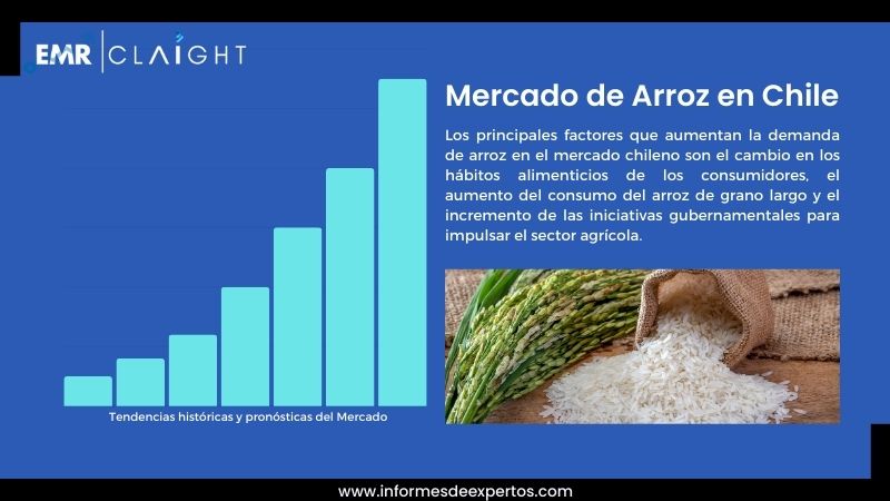 Informe del Mercado de Arroz en Chile