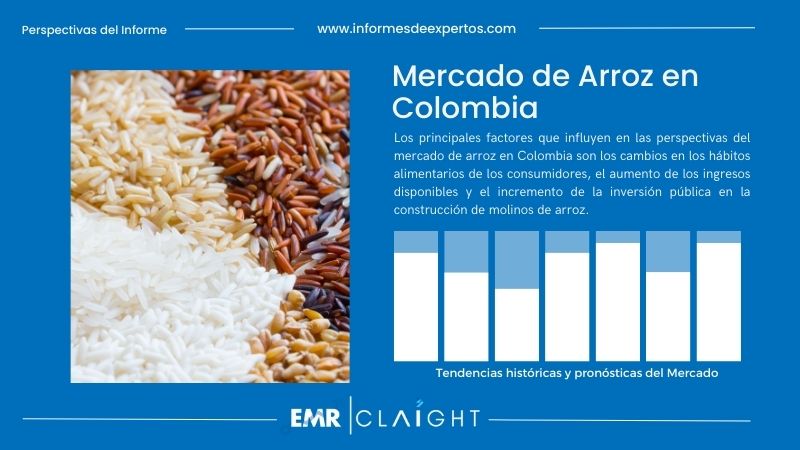Informe del Mercado de Arroz en Colombia