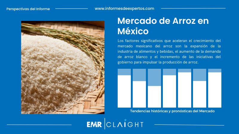 Informe del Mercado de Arroz en México