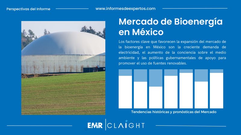 Informe del Mercado de Bioenergía en México