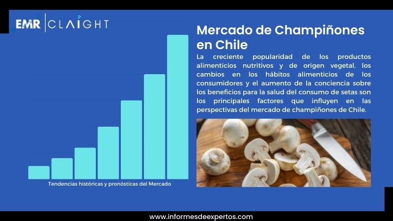 Informe del Mercado de Champiñones en Chile