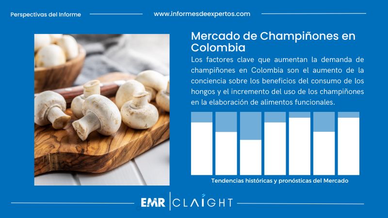 Informe del Mercado de Champiñones en Colombia