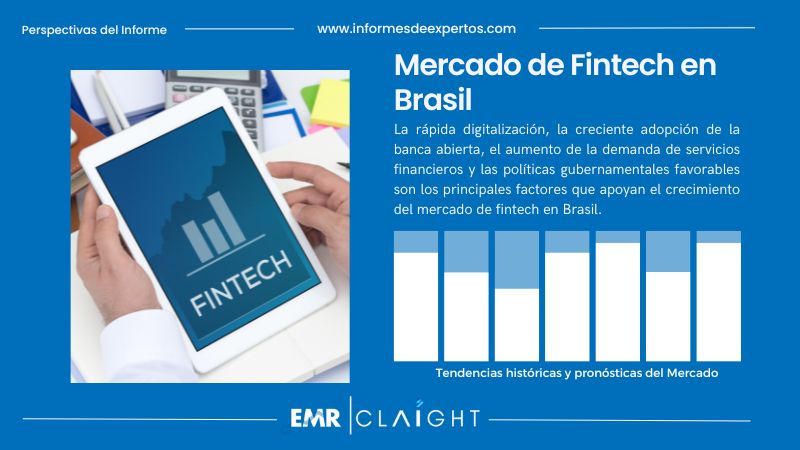 Informe del Mercado de Fintech en Brasil