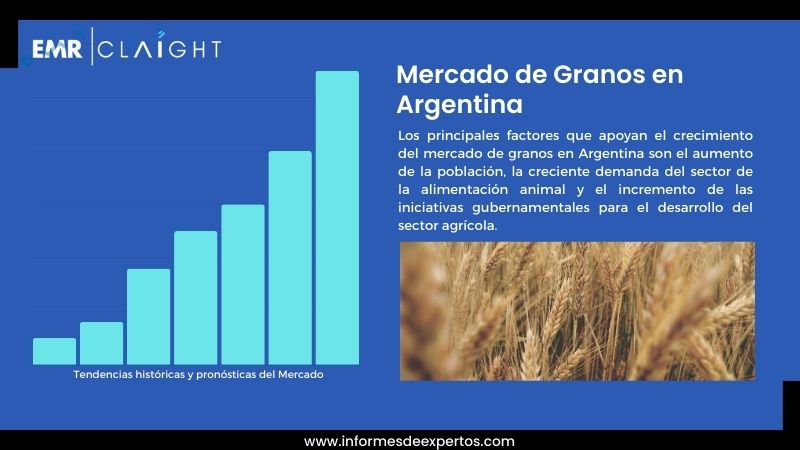 Informe del Mercado de Granos en Argentina