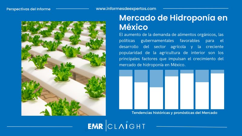 Informe del Mercado de Hidroponía en México