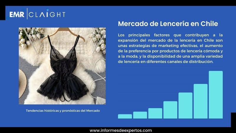 Informe del Mercado de Lencería en Chile