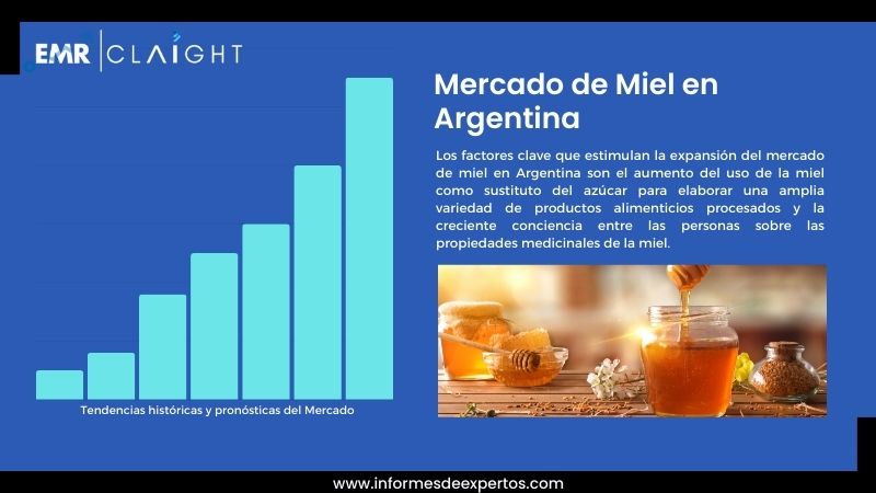 Informe del Mercado de Miel en Argentina