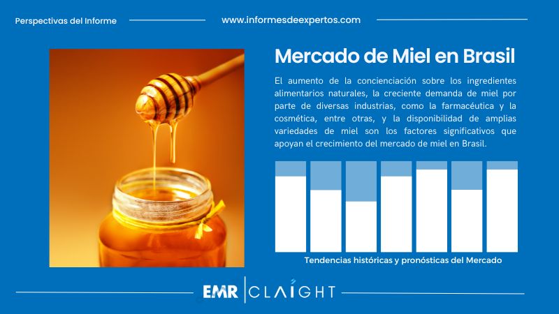 Informe del Mercado de Miel en Brasil