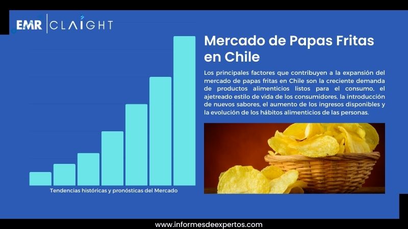 Informe del Mercado de Papas Fritas en Chile