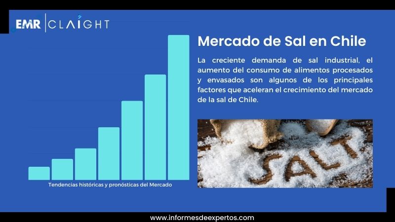 Informe del Mercado de Sal en Chile