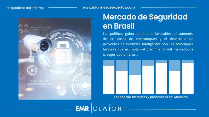 Informe del Mercado de Seguridad en Brasil