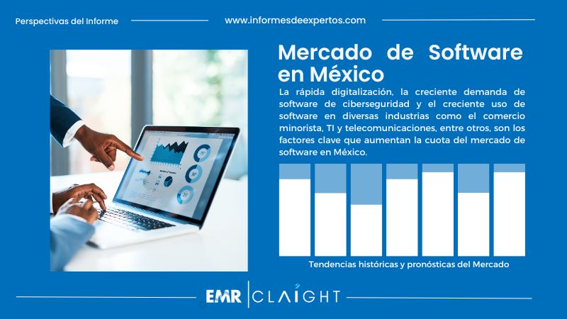 Informe del Mercado de Software en México