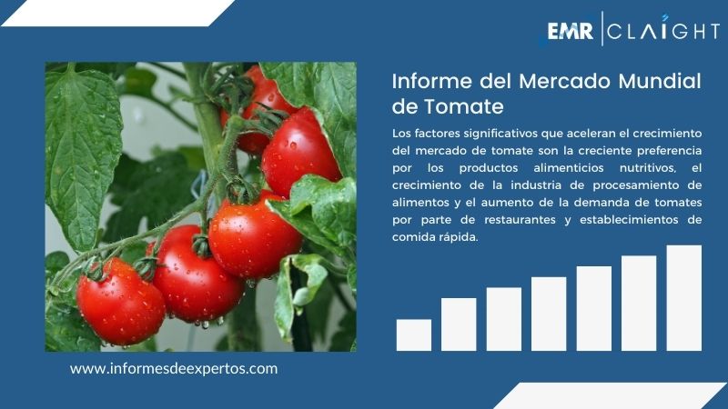 Informe del Mercado de Tomate