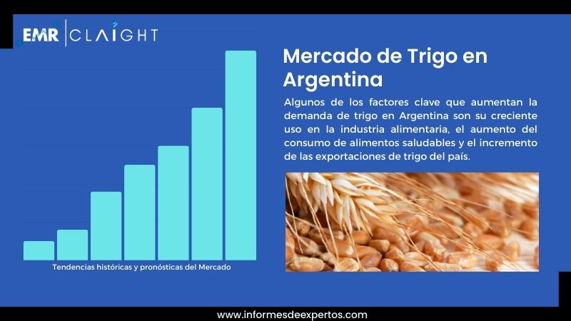 Informe del Mercado de Trigo en Argentina