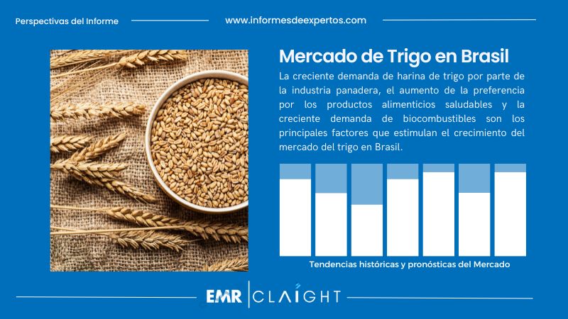 Informe del Mercado de Trigo en Brasil