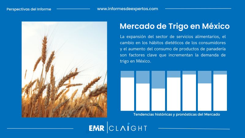 Informe del Mercado de Trigo en México