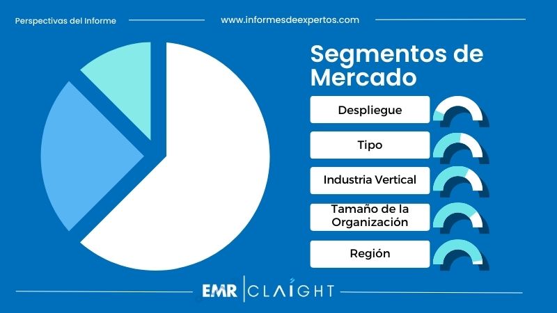 Segmento del Mercado de Software en México